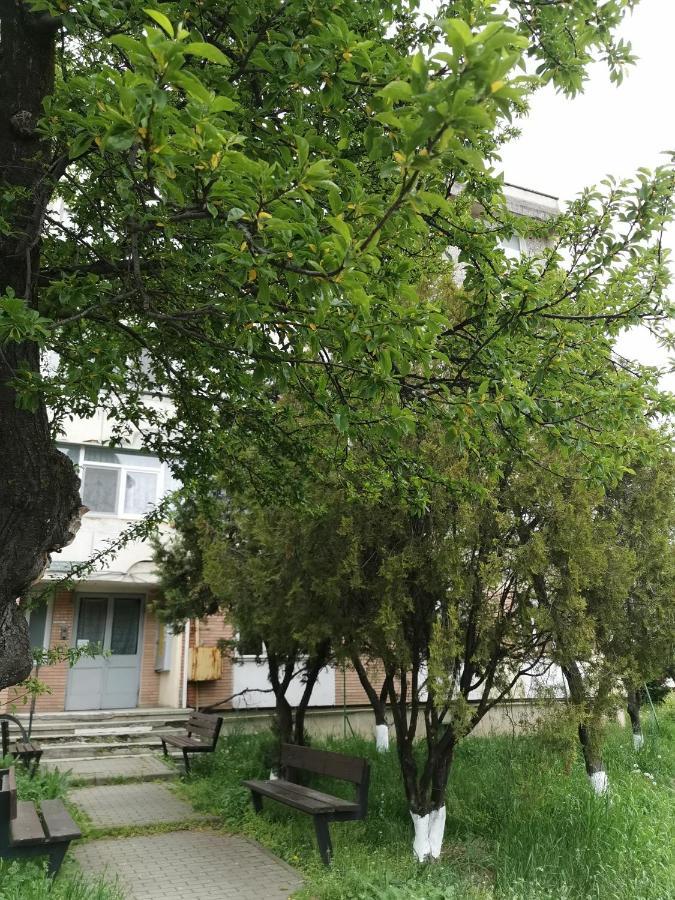 Apartament Asr Piatra Neamţ Eksteriør bilde